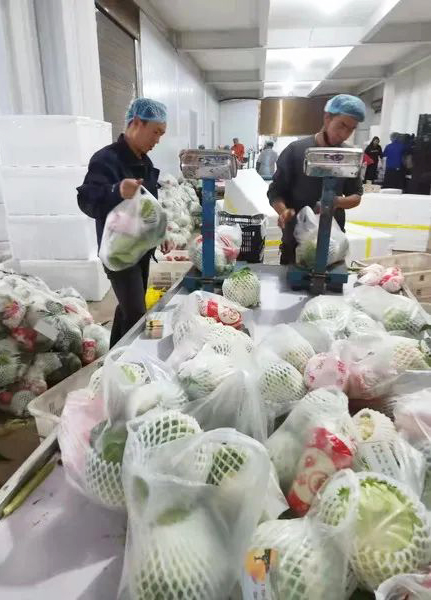 通海高原農(nóng)產(chǎn)品有限公司按5公斤1袋包裝蔬菜發(fā)往上海。 通海高原農(nóng)產(chǎn)品有限公司按5公斤1袋包裝蔬菜發(fā)往上海。.jpg
