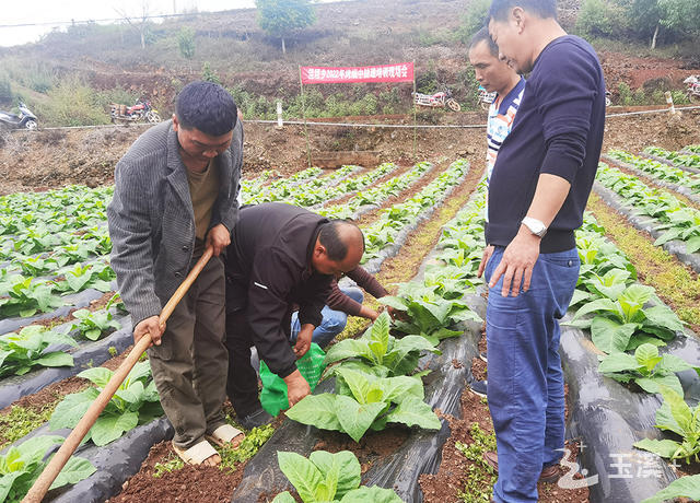 L_1653450843159257593 L_1653450843159257593.jpg