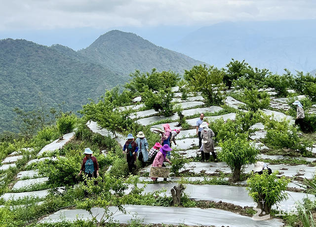 L_1653526031224993775 L_1653526031224993775.jpg