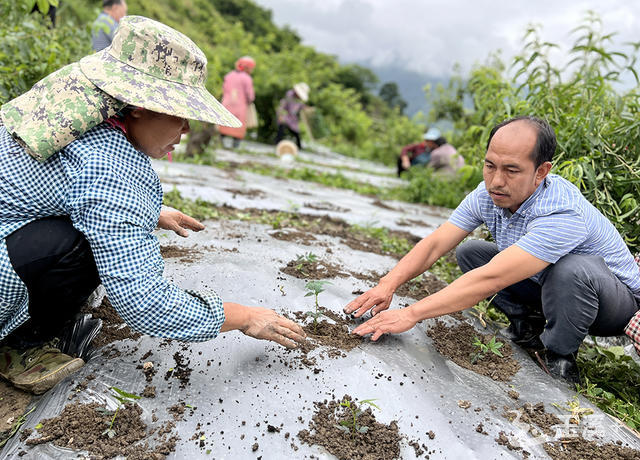 L_1653526031232877203 L_1653526031232877203.jpg