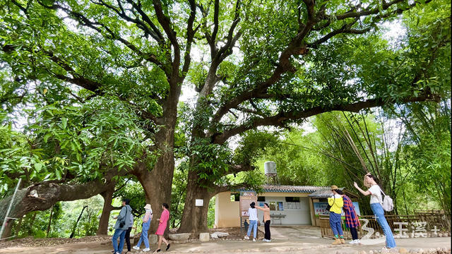 微信圖片_20220526173952 微信圖片_20220526173952.jpg