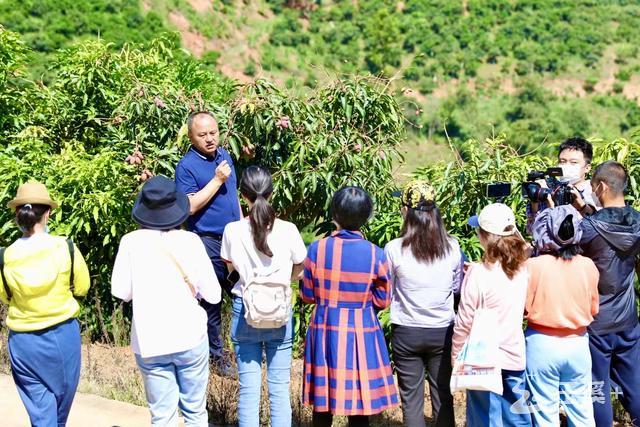 3B10404B-DD16-429E-959F-C71BDE64BD04 3B10404B-DD16-429E-959F-C71BDE64BD04.jpeg