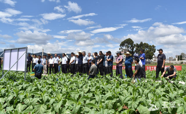 L_1654231092589522732 L_1654231092589522732.jpg