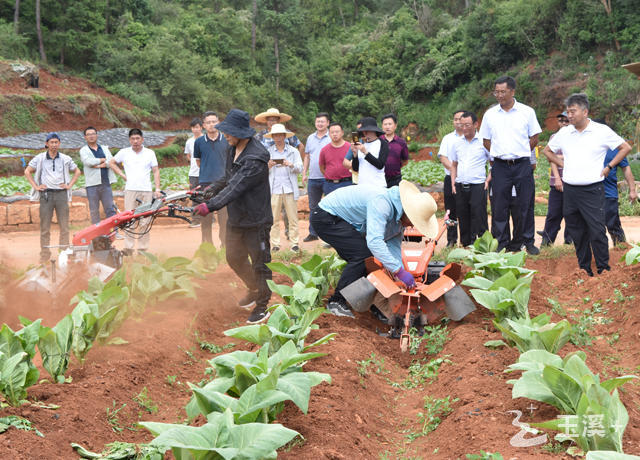 L_1654231092636302775 L_1654231092636302775.jpg