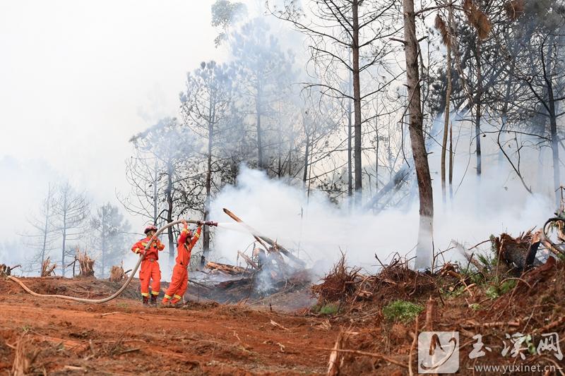 微信圖片_20230416003837 微信圖片_20230416003837