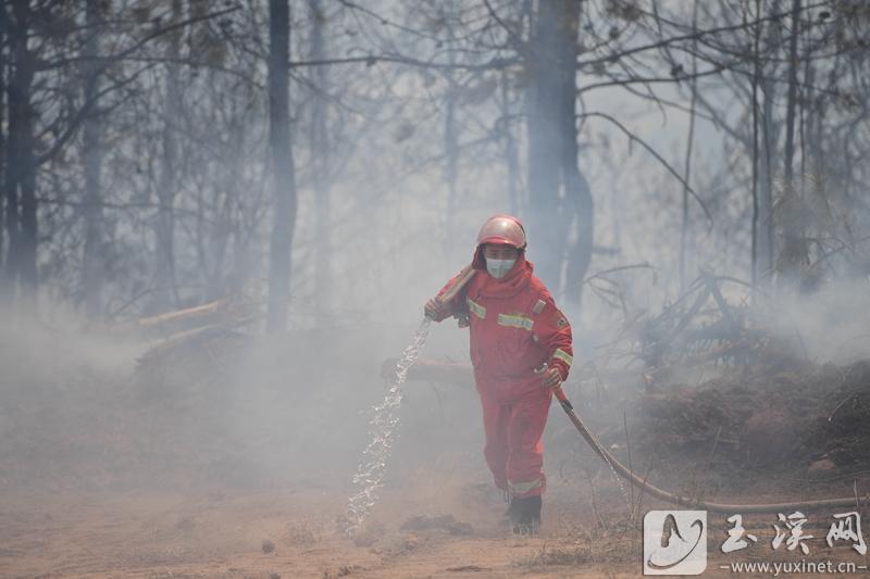 微信圖片_20230416003849 微信圖片_20230416003849