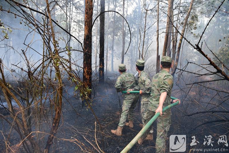 微信圖片_20230416003854 微信圖片_20230416003854