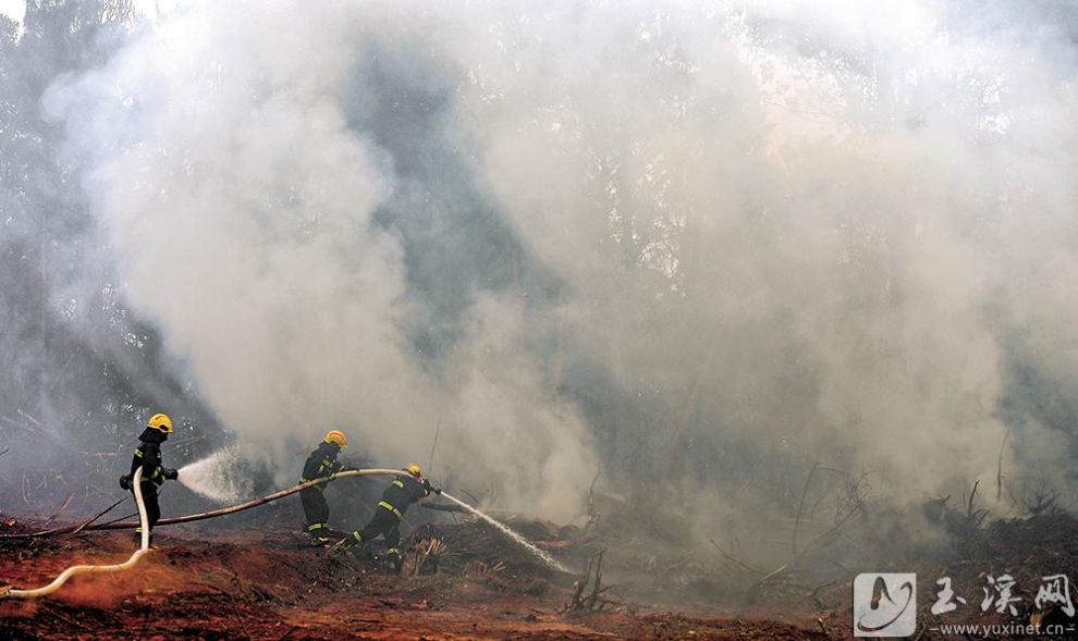 20230417_003741_014 20230417_003741_014