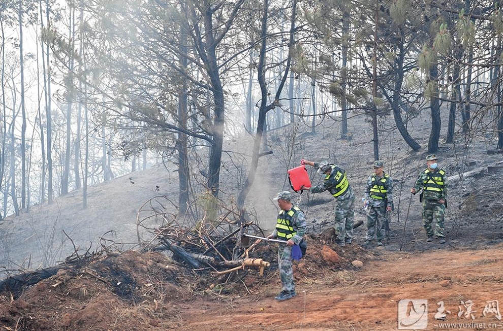 20230417_003741_015 20230417_003741_015