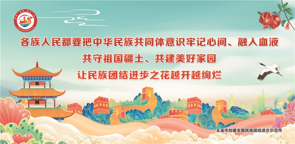 玉溪市民族團結進步宣傳海報23