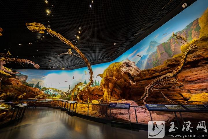 澄江化石地世界自然遺產(chǎn)博物館借助科技，讓古生物重?zé)ㄐ律?記者 沈陽 攝