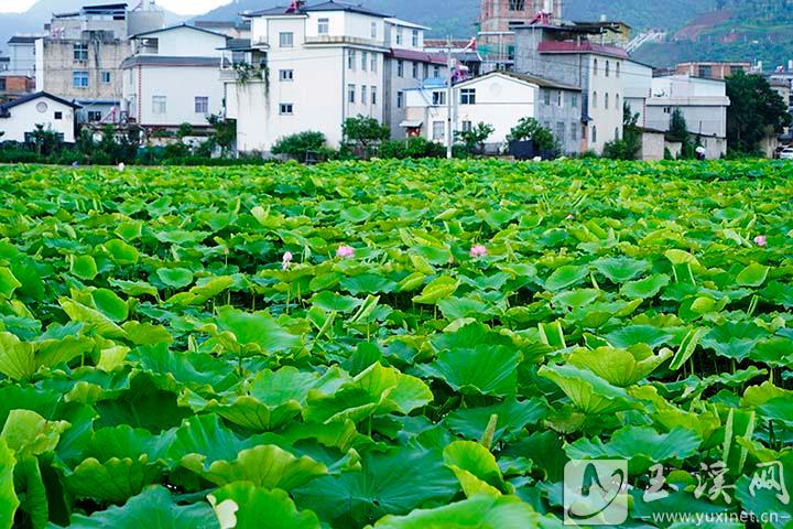 53993f74-f6b7-4b20-993b-611001b1186a