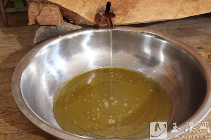 順著木槽緩緩流淌的核桃油。