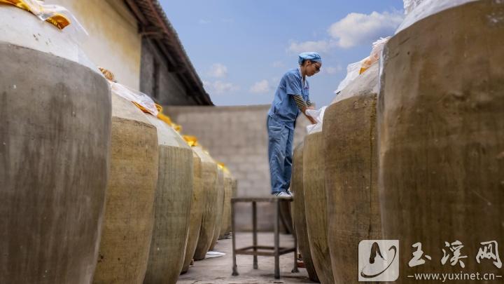 用比人還高的大陶缸發(fā)酵面醬。