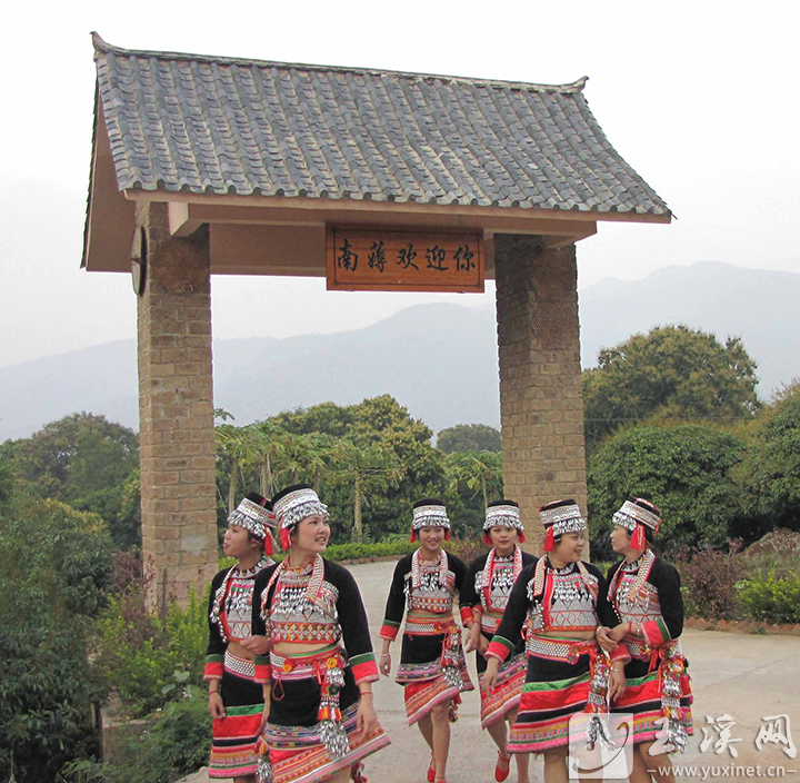 南薅村的小卜少們。