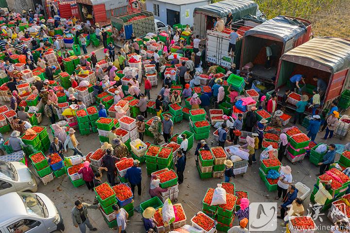 熱鬧的辣椒交易市場(chǎng)。